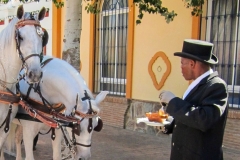 Fuengirola_Feria-030